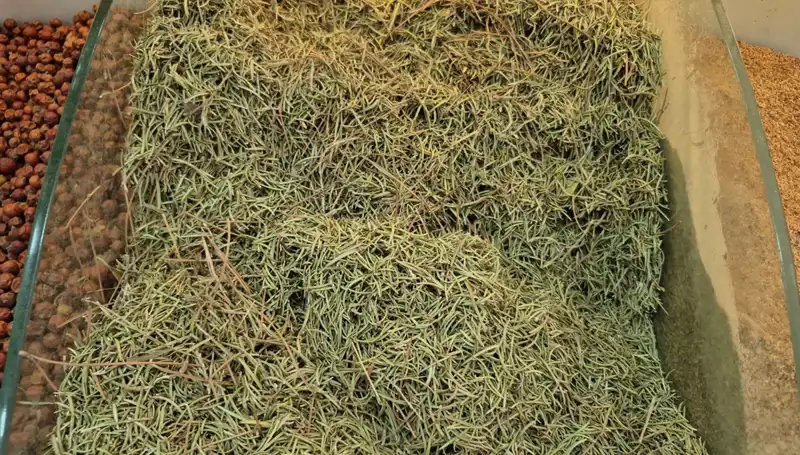 Yaz Aylarında İnternette Artan Satışlar Ölüme Götürüyor mu?