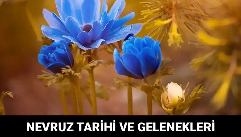 Nevruz Bayramı: Ne Zaman Kutlanır ve Gelenekleri Neler?