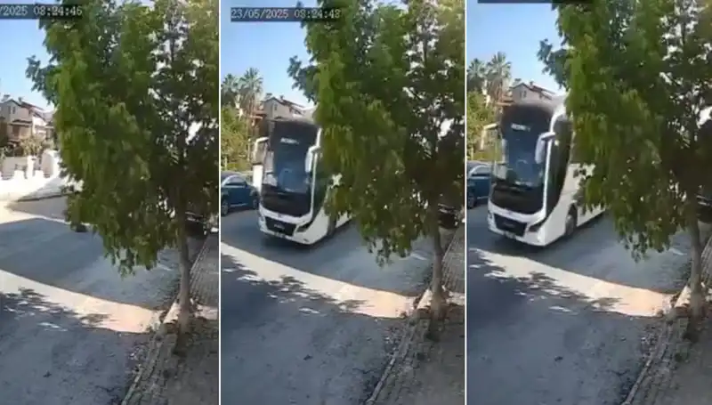 Yolda Yatan Köpeği Ezip Giden Şoför, Canlı Yayında Tepkileri Topladı