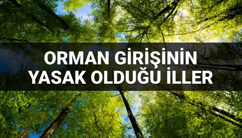 2025 Yılında Orman Girişinin Yasaklandığı İller Açıklandı