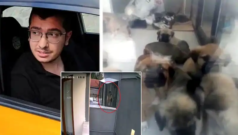 Hayvanları Koruma Dernekleri Şokta: Doktorun Yavru Köpek Katliamı Ortaya Çıktı!