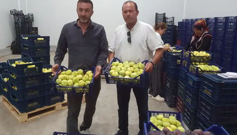 Mersinli Çiftçiler İçin 2023'te Umut Veren Tarım Ürünü İhraç Ediliyor
