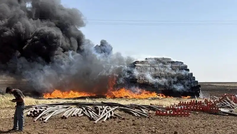 Mardin'de Kontrol Altına Alınamayan Anız Yangını, Şehirde Panik Yarattı