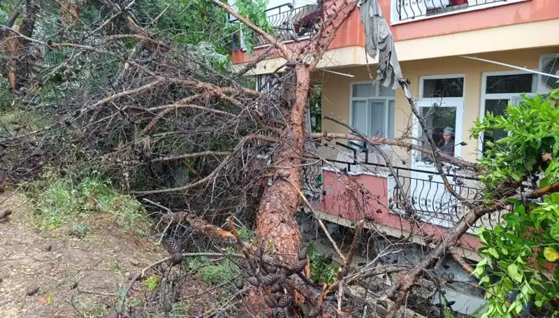 Yağışların Ardından Büyük Tehlike: Bina Çöktü!