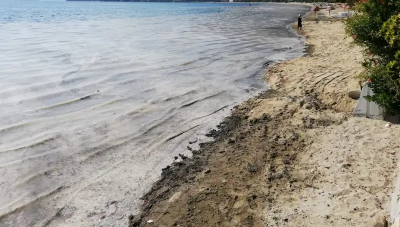 Müsilajla Mücadelede Şok Edici Gelişme: 268 İşletme Kapatıldı!
