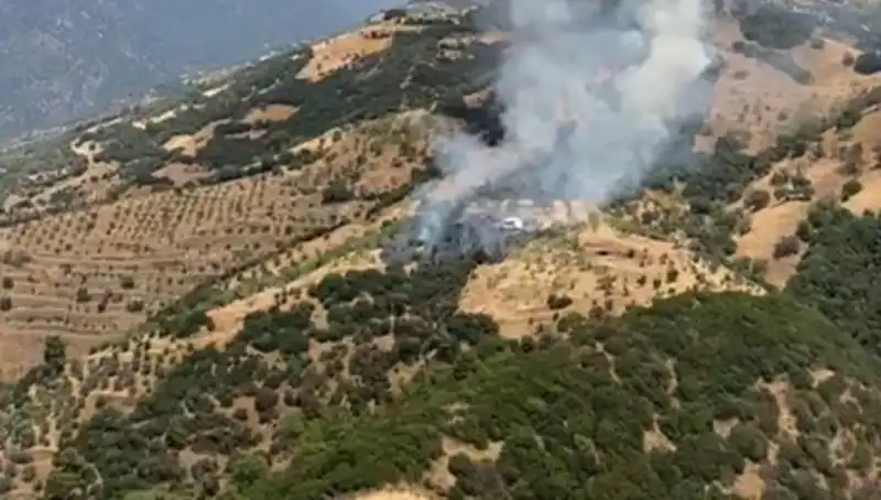 Aydın'da Korkutan Zeytinlik Yangını: Tüm Detaylar ve Etkileri