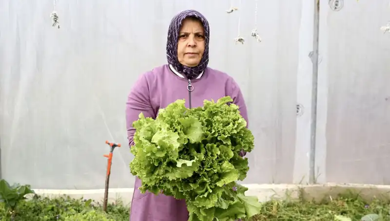 Emekliliğin Ardından Gelen Başarı: Hayallerini Gerçeğe Dönüştürdü!