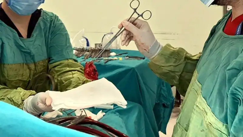 Kalp Kapağı Ameliyatı: Doktorlardan Mucizevi Bölüm Açıklamaları