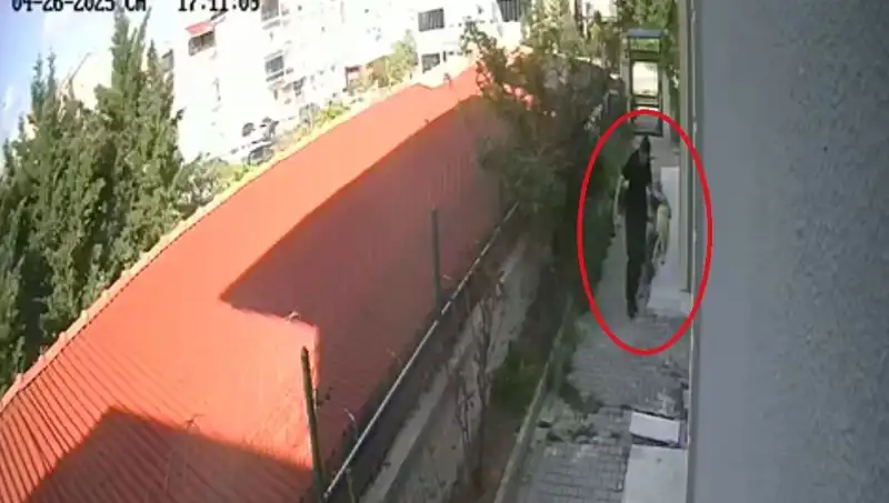 Doktorun Korkunç İtirafı: Evde Sahiplendiği Köpekleri Parçalayarak Öldürdü