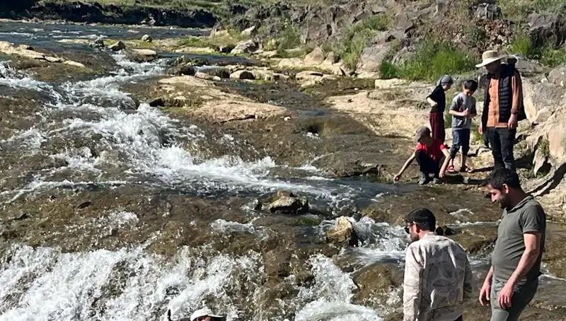 İnci Kefali Göçü: Doğanın Harikası Büyüleyici Bir Seyir Sunuyor