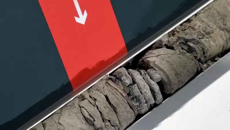 Dinozor Fosili Müze Otoparkında Keşfedildi: Tarih Öncesi Heyecanı