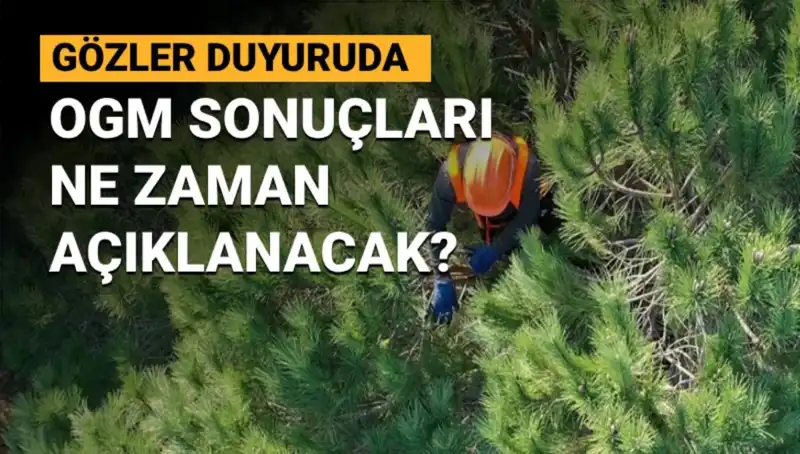 OGM Personel Alımı: 3 Bin 477 Sözleşmeli Alım Sonuçları Ne Zaman Açıklanacak?