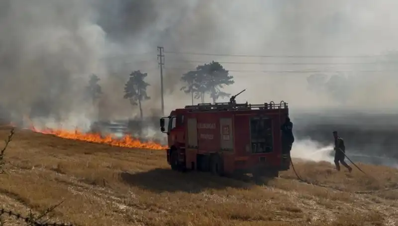 Kırklareli'nde Anız Yangını: Doğa Katliamı ve Tehlike Hava