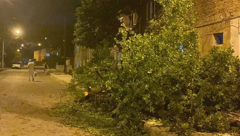 Karabük'te Fırtına Sonrası Yaşanan Zorluklar ve Alınan Önlemler