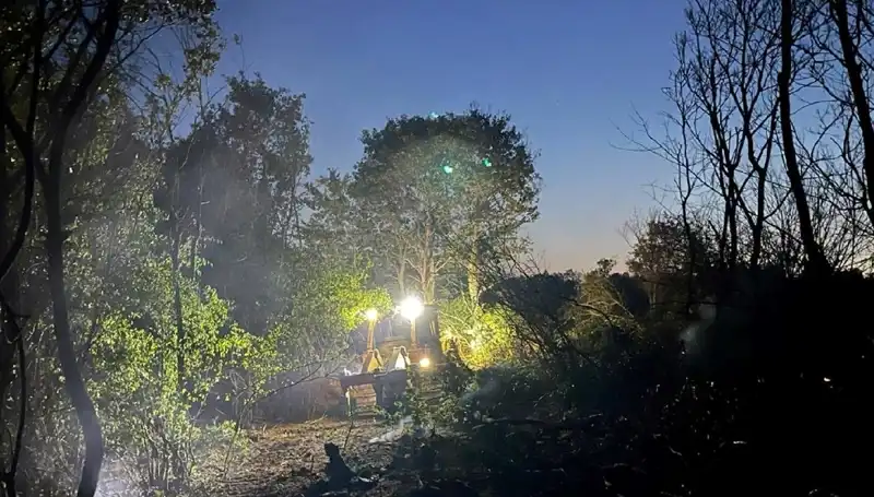 Edirne’deki Orman Yangını İçin Ekipler Seferber Oldu: Olayın Detayları