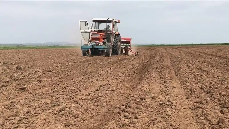 Son 35 Yılın En Kurak Mart Ayı: Türkiye'de Yağışlar Yüzde 59 Azaldı