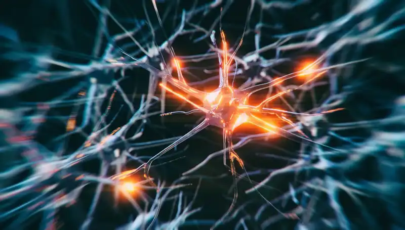 Alzheimer Vakalarının Artışı: Nedenleri ve Gelecek Öngörüleri