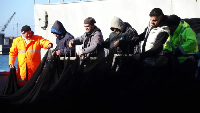 Hamsi Avında Beklenmedik Kriz: Tekneler Erken Vardiya Bitirdi