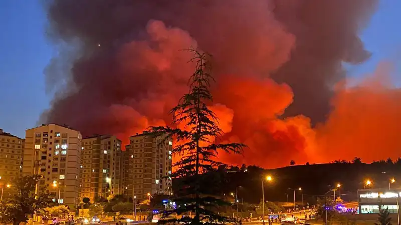 Bursa'da Yangınlar Kenti Saran Korkunç Felaket: Nedenleri ve Sonuçları