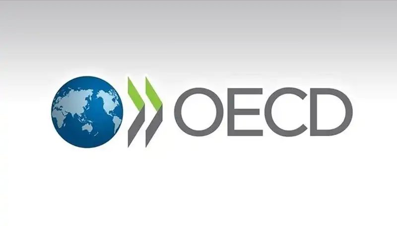 OECD, Türkiye Ekonomisi İçin Beklentilerini Yükseltti: Büyüme Tahmini Açıklandı