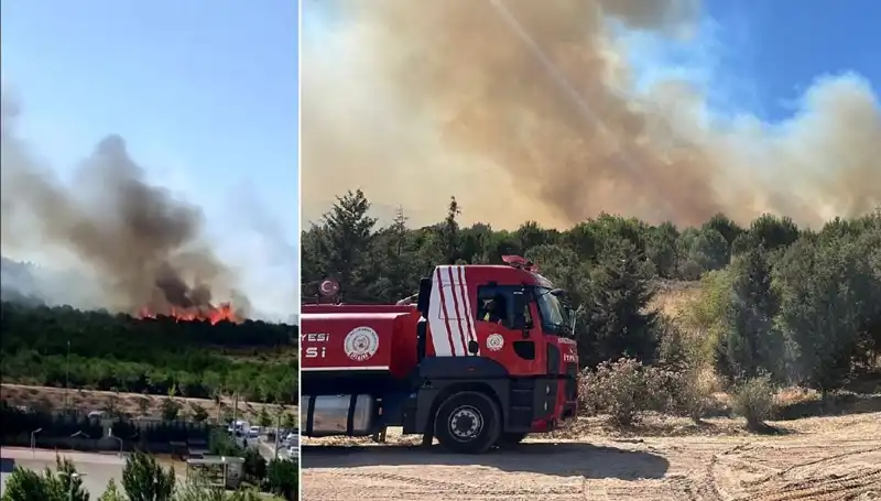 Gebze'de Orman Yangını: Doğa Tahribatı ve Kurtarma Mücadelesi