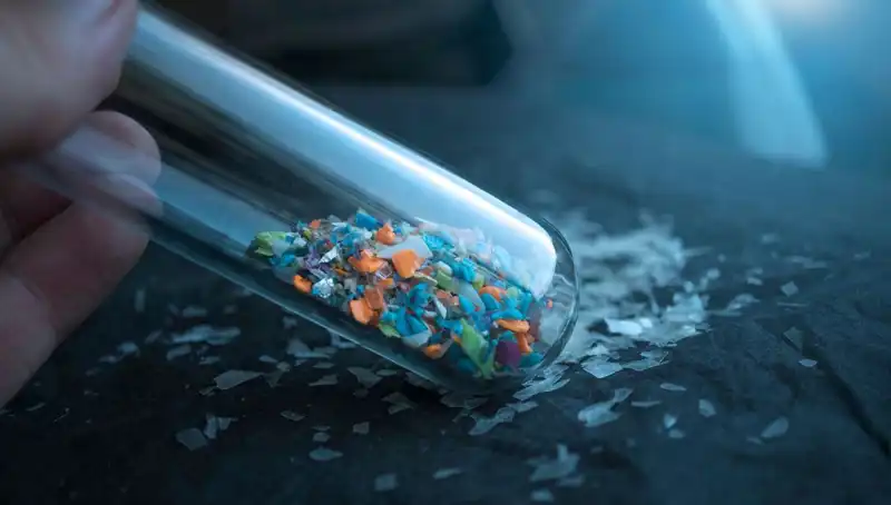Mikroplastiklerin Gizemli Dünyası: İnsan Beynine Sızmaları ve Etkileri
